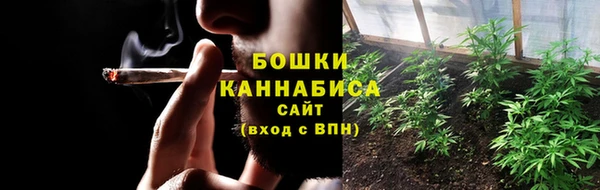 гашик Пересвет