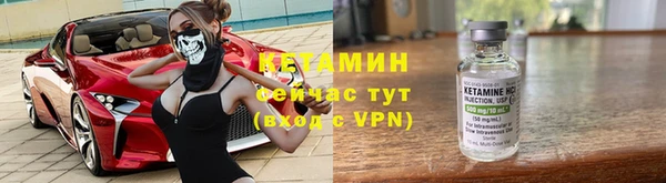 гашик Пересвет