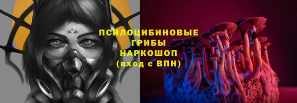 первитин Пестово