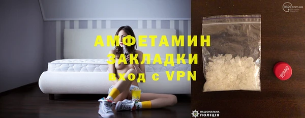 гашик Пересвет