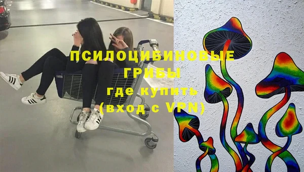 первитин Пестово