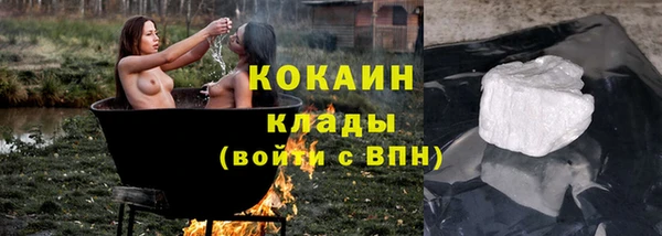 гашик Пересвет