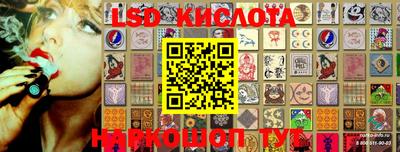 крисы Аргун
