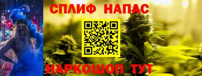 крисы Аргун