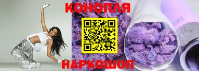 крисы Аргун
