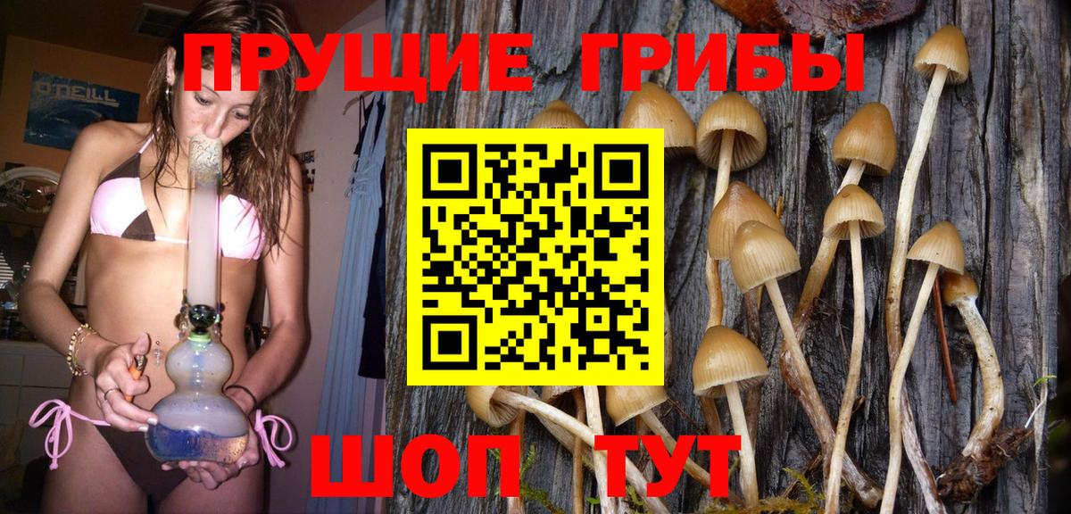 Галлюциногенные грибы мицелий  Вход с VPN  Киржач 