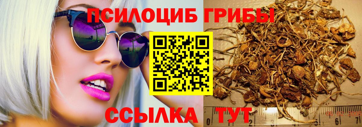 Галлюциногенные грибы GOLDEN TEACHER Киржач